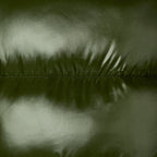 Save The Duck | Piumino Donna “Isabel” Verde Bosco | Animal-Free, Oversize, Antivento