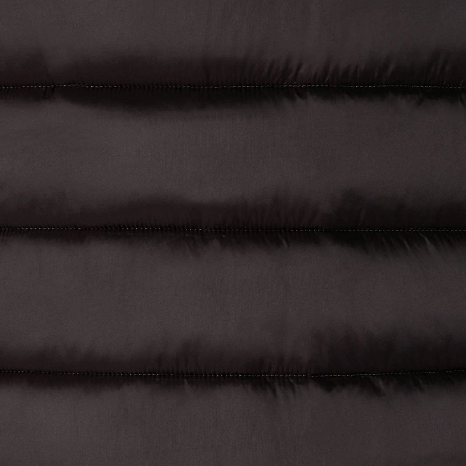 Save The Duck | Lydia Piumino Donna Marrone/Nero Animal Free