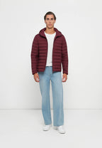 Save The Duck | Juncus Giacca Uomo Wine Red Animal Free